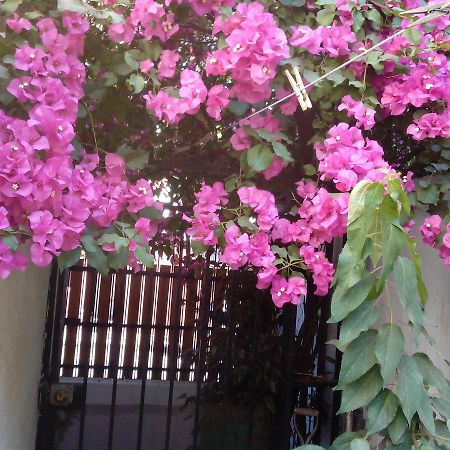 Alojamiento Alberto Magno Bed & Breakfast Santiago Luaran gambar